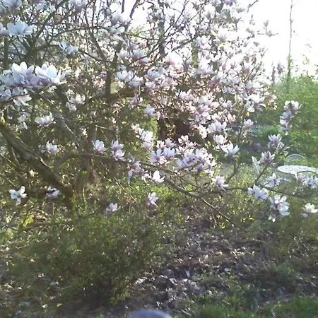 Charme Authentique Avec Cheminee Et Grand Parc Pres D'epinal, Avec Court De Tennis Et Recharge Electrique - Fr-1-589-514