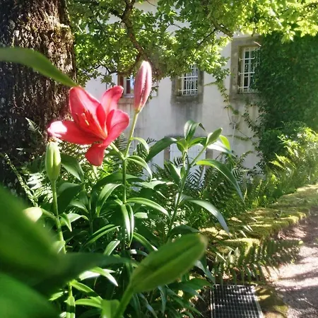 Bed & Breakfast Charme Authentique Avec Cheminee Et Grand Parc Pres D'epinal, Avec Court De Tennis Et Recharge Electrique - Fr-1-589-514